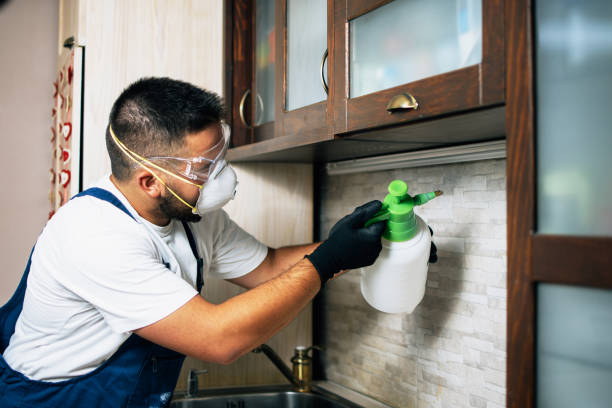 Best Mosquito Control Services  in Jonesboro, AR